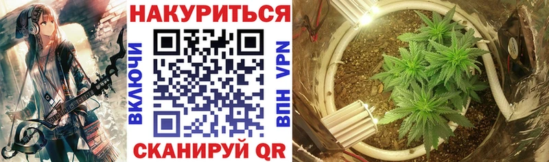 где купить   Заозёрск  Шишки марихуана индика 